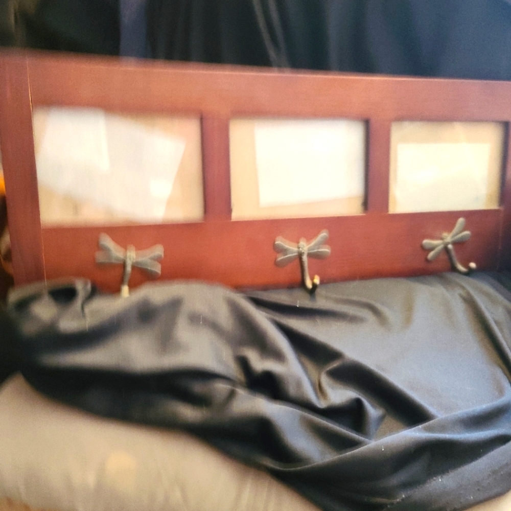 Wooden Wall Frame with Dragonfly Hooks